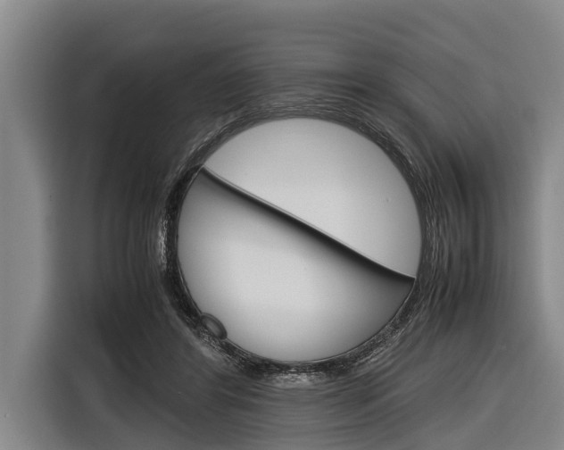 X0000116880404200912220948