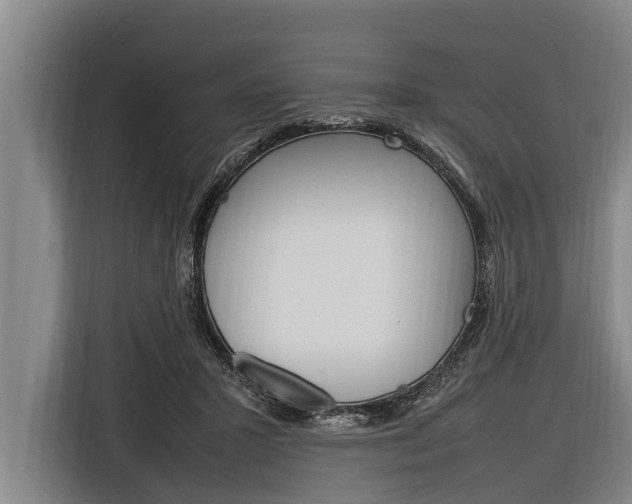 X0000116880407200912220948