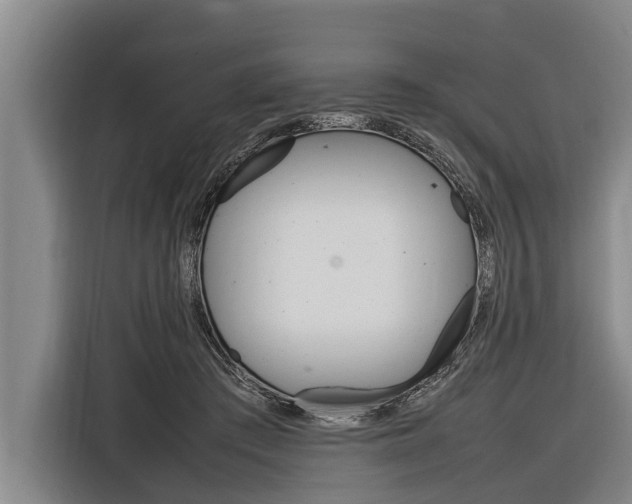 X0000116880409200912220948