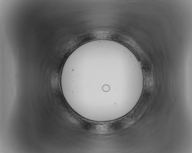 X0000116880411200912220948