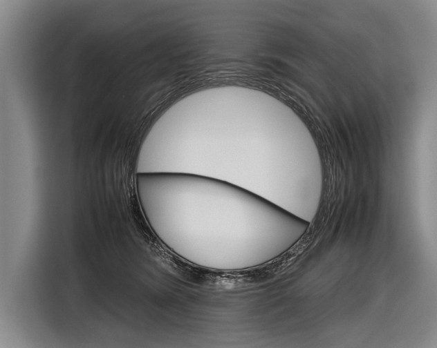 X0000116880420200912220948