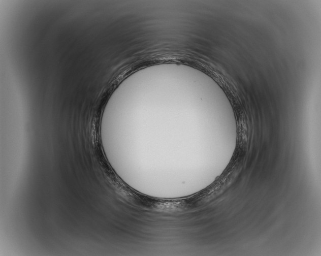 X0000116880422200912220948
