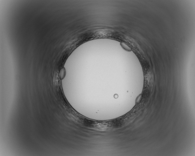 X0000116880423200912220948