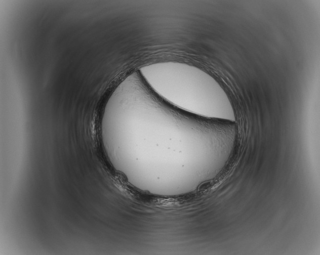 X0000116880424200912220948