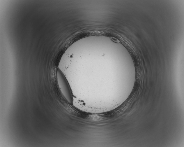 X0000116880425200912220948