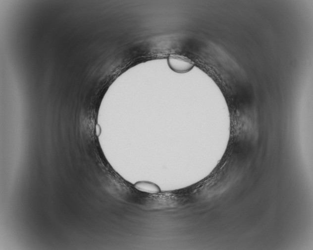 X0000116880427200912220948