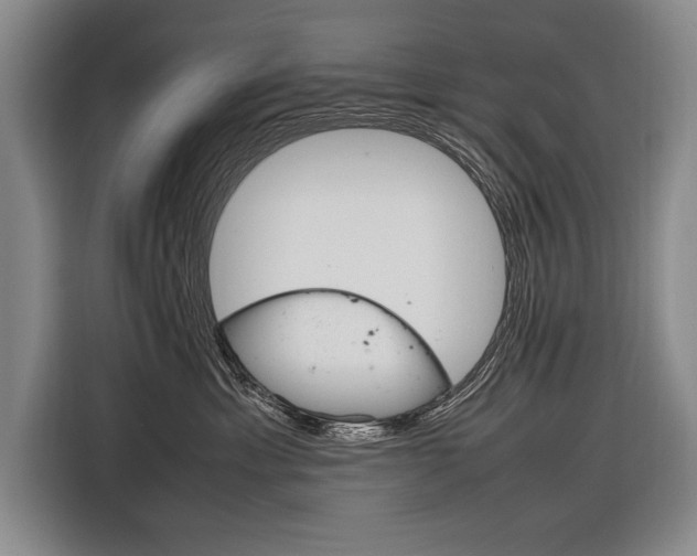X0000116880429200912220948