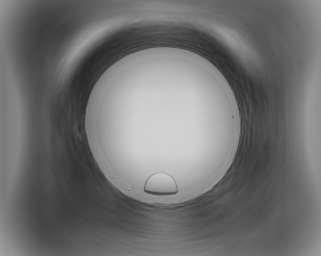 X0000116880431200912220948