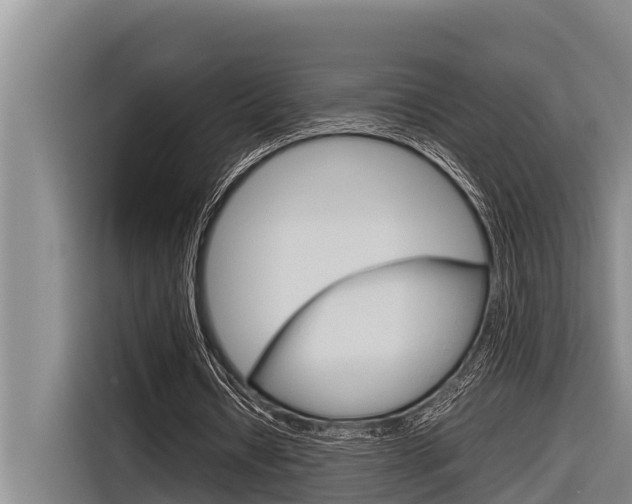 X0000116880434200912220947