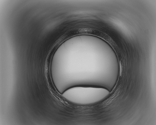 X0000116880435200912220947