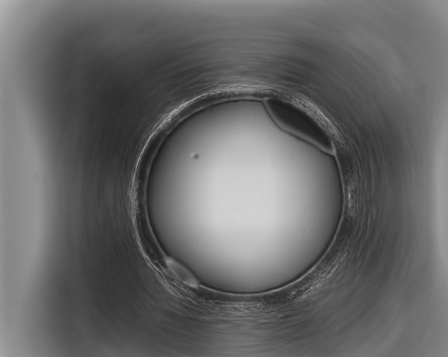 X0000116880436200912220947