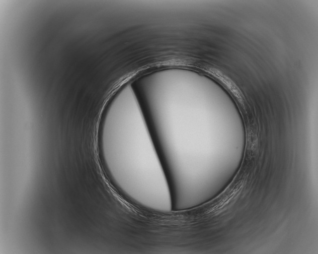 X0000116880437200912220947