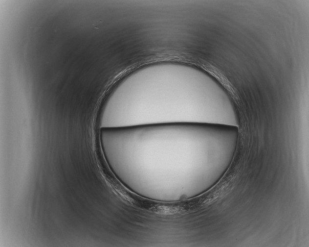X0000116880442200912220947