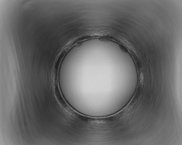 X0000116880444200912220947