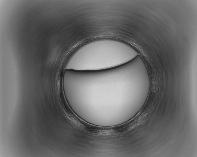 X0000116880446200912220947