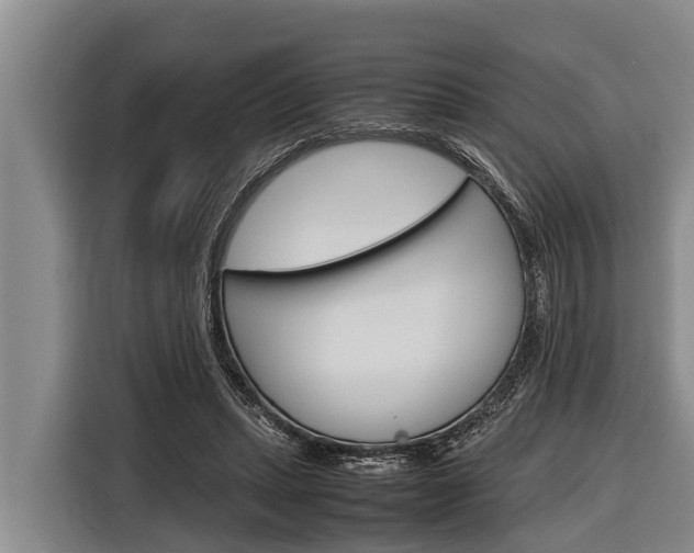 X0000116880447200912220948