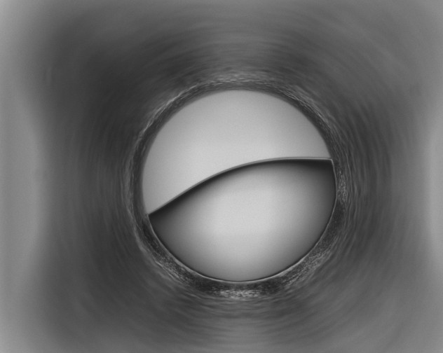 X0000116880448200912220948