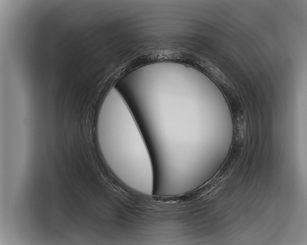 X0000116880450200912220948