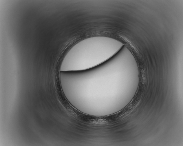 X0000116880451200912220948