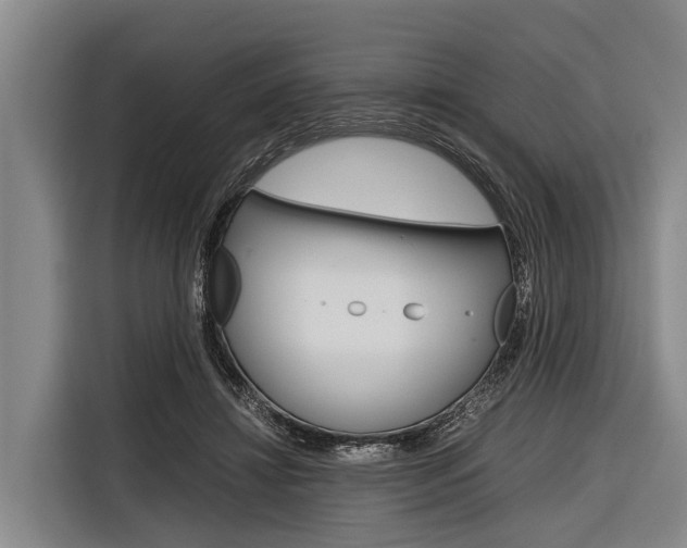 X0000116880452200912220948