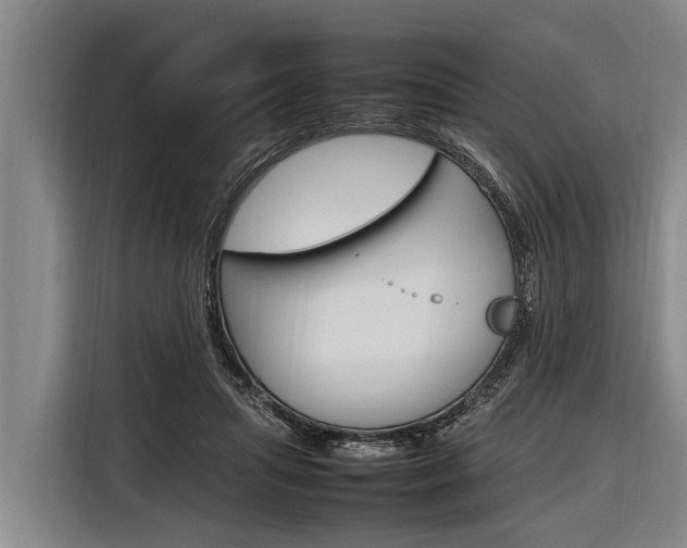 X0000116880455200912220948