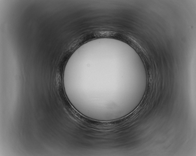 X0000116880459200912220948
