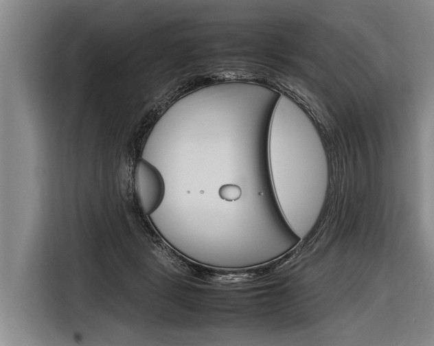 X0000116880461200912220948