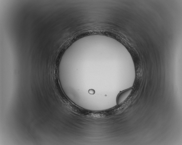 X0000116880464200912220948