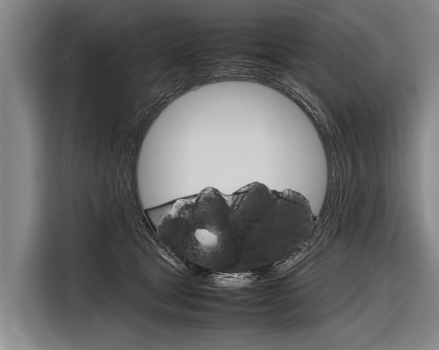 X0000116880465200912220948