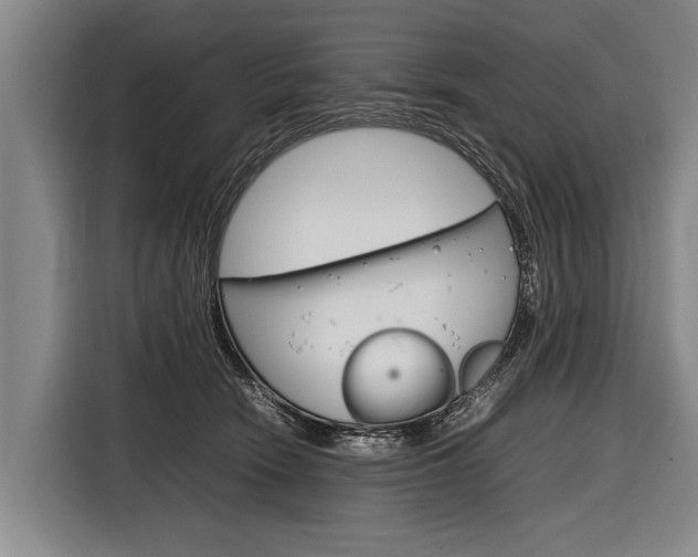 X0000116880466200912220948