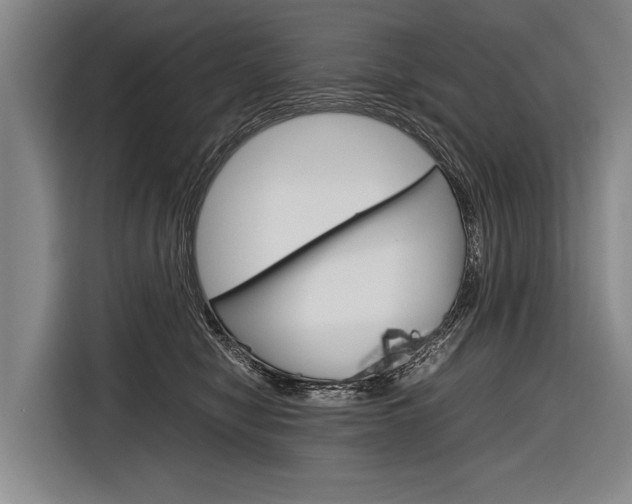 X0000116880470200912220948