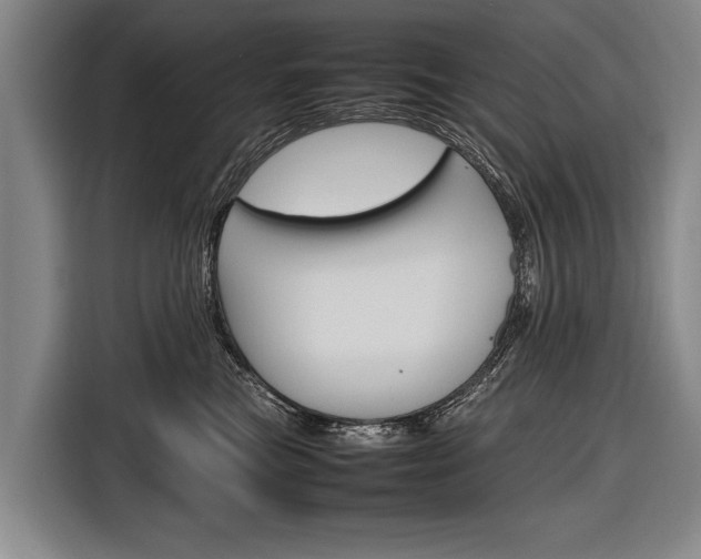 X0000116880473200912220948