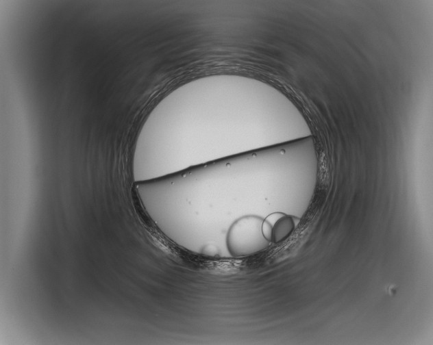 X0000116880474200912220948
