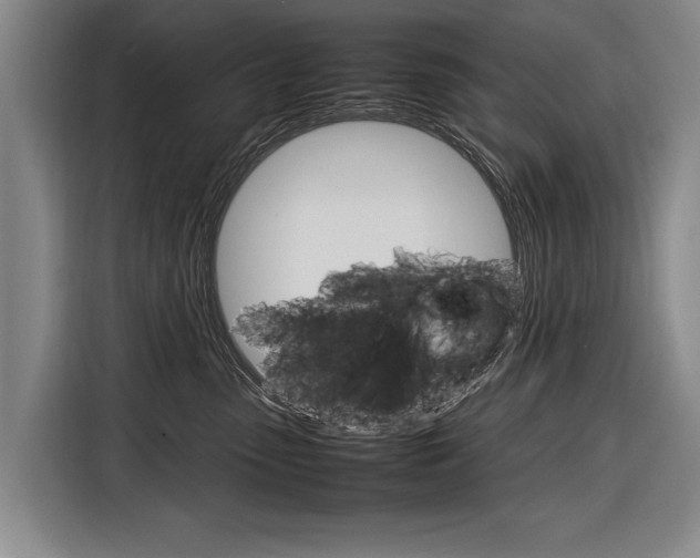 X0000116880475200912220948