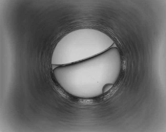 X0000116880476200912220948