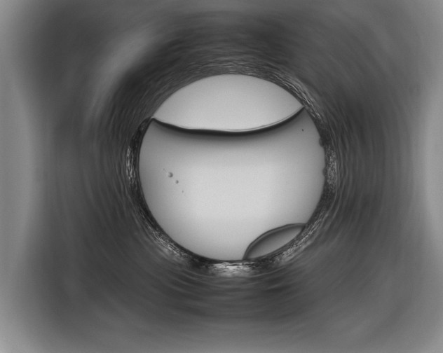 X0000116880477200912220948