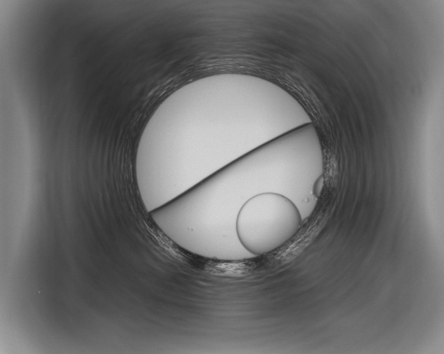 X0000116880478200912220948