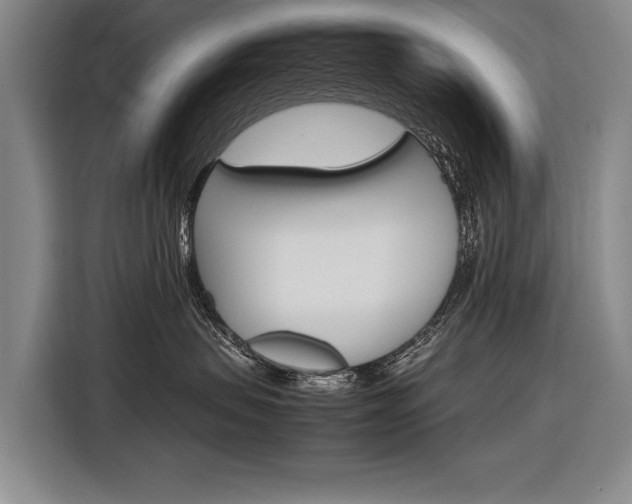 X0000116880479200912220948