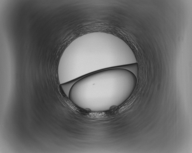 X0000116880480200912220948