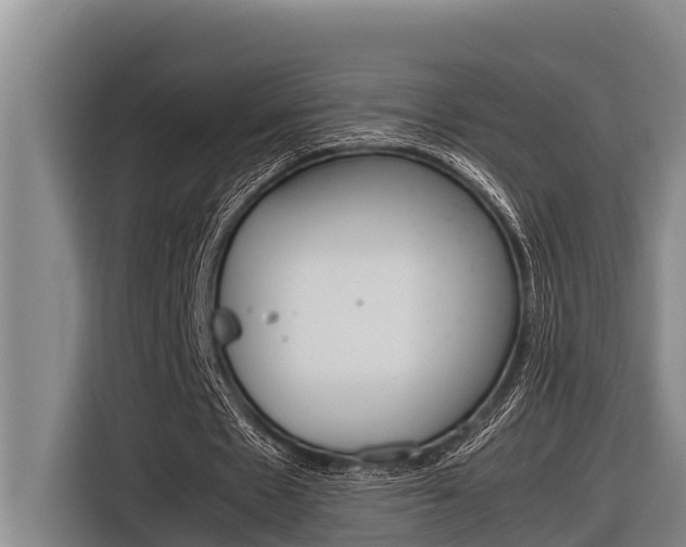 X0000116880481200912220947