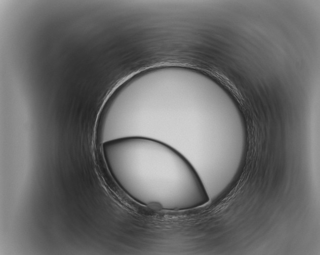 X0000116880484200912220947