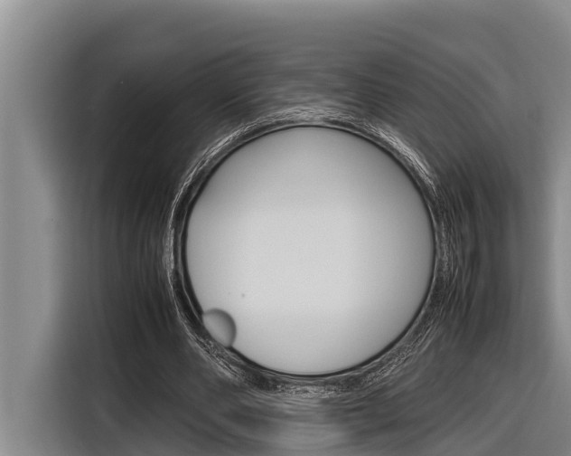 X0000116880486200912220947