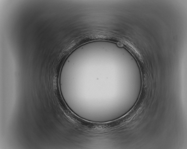 X0000116880489200912220947