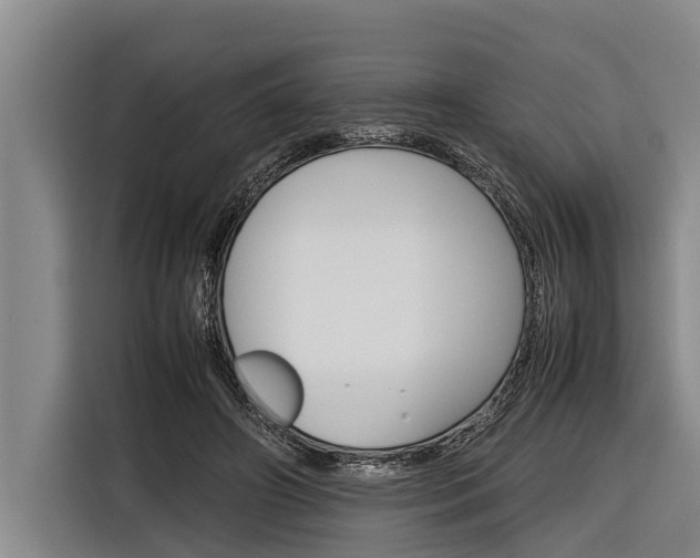 X0000116880498200912220947