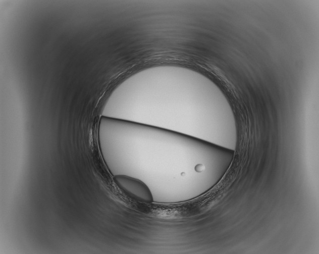 X0000116880500200912220947