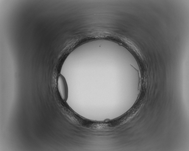 X0000116880501200912220947