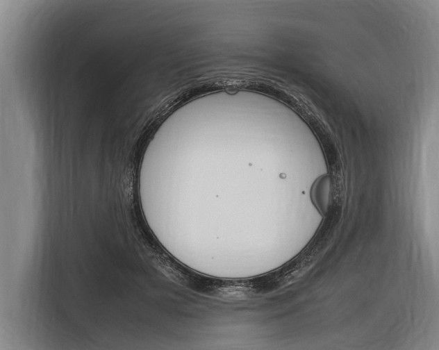 X0000116880505200912220947