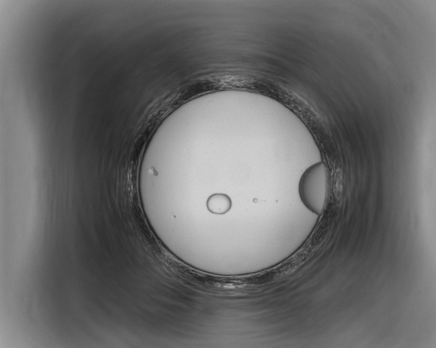 X0000116880506200912220947