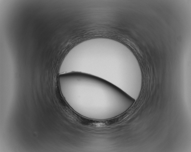 X0000116880509200912220947