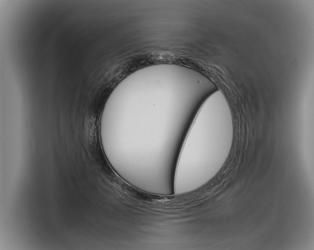 X0000116880511200912220947